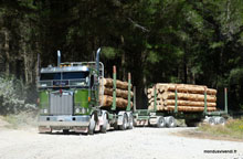 Transport de bois - Nouvelle Zélande